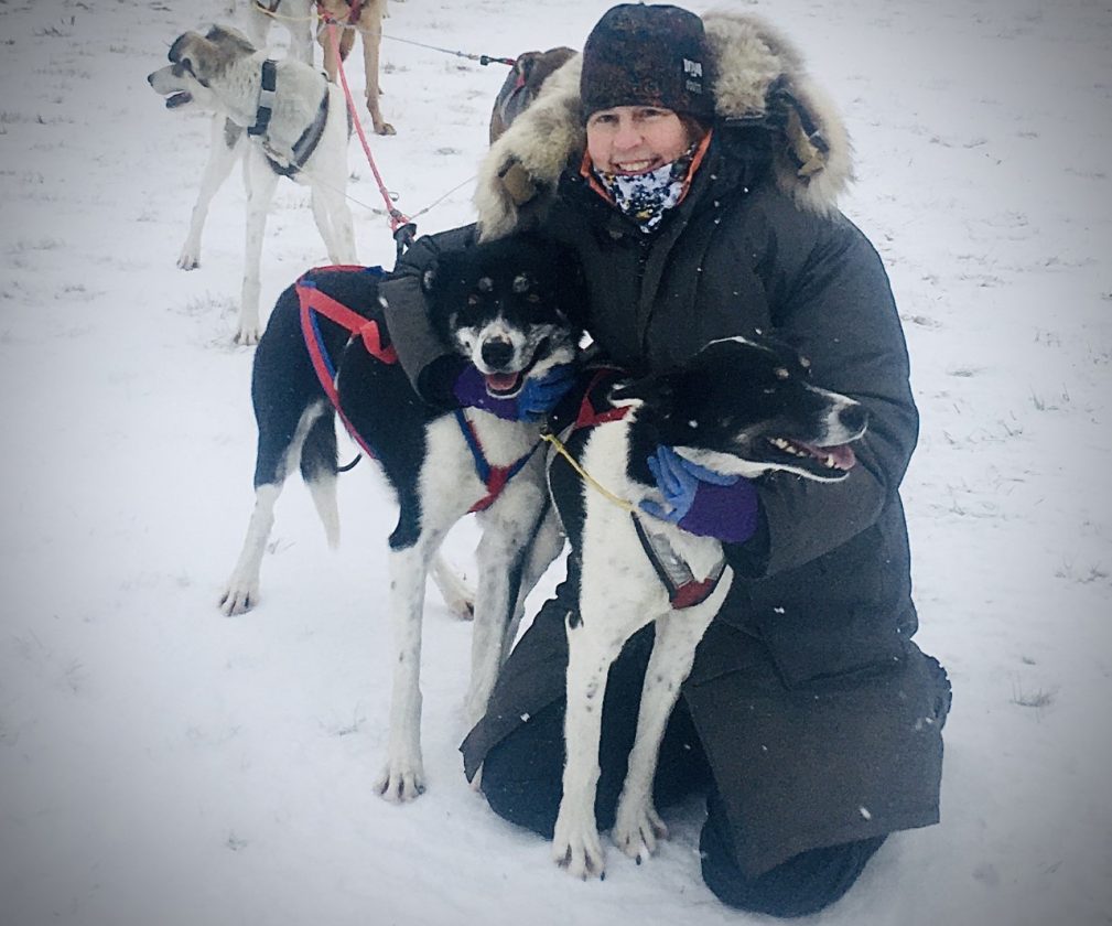 Mary Beth Logue has love for dog sled mushing News, Sports, Jobs